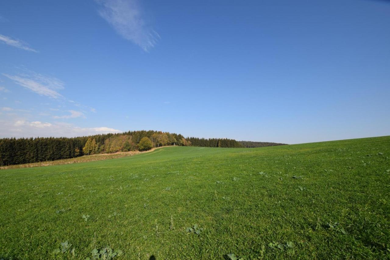 Отель Landgasthof Wolfsgrund Dorfchemnitz Экстерьер фото