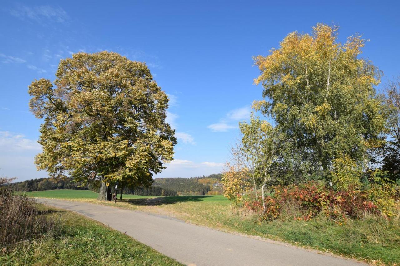 Отель Landgasthof Wolfsgrund Dorfchemnitz Экстерьер фото