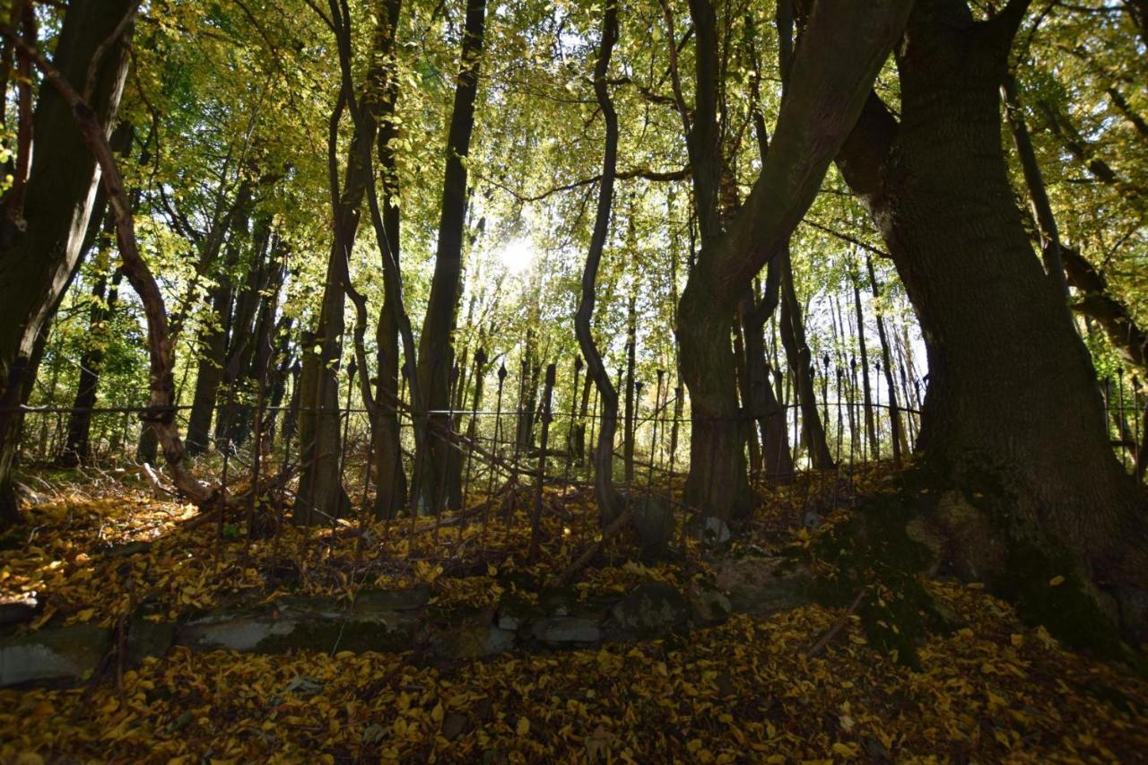 Отель Landgasthof Wolfsgrund Dorfchemnitz Экстерьер фото